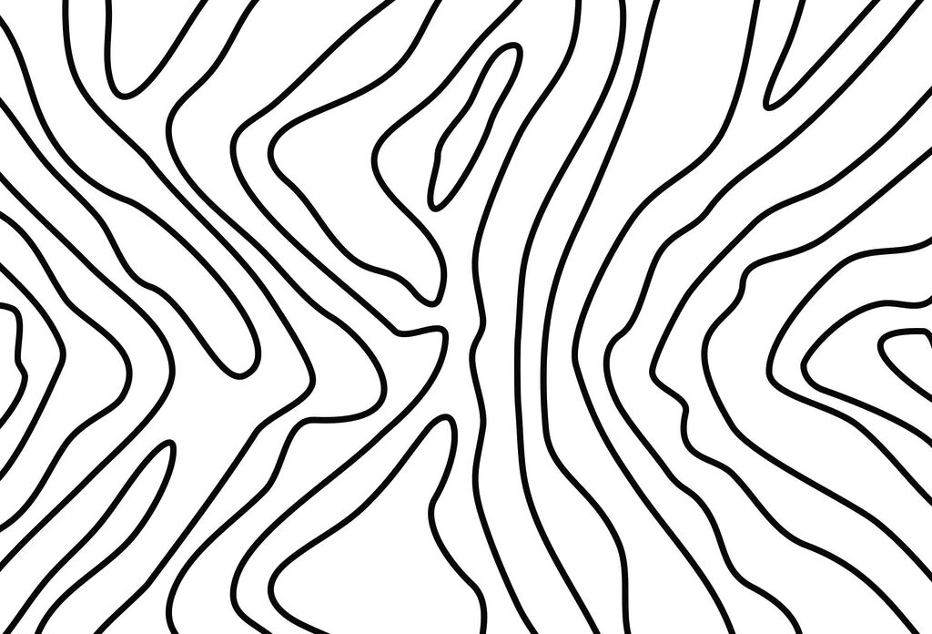 Black lines fanning out — full design