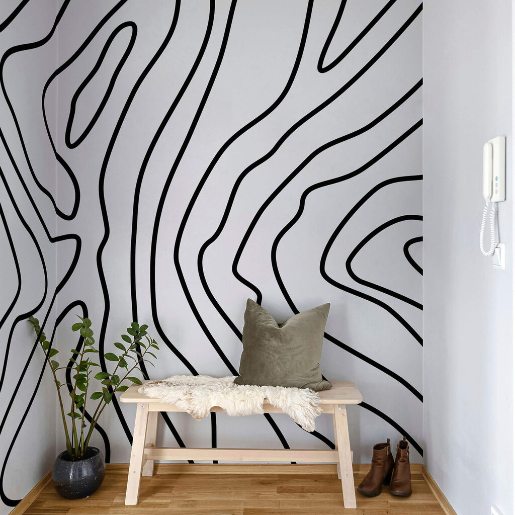 Black lines fanning out — interior 2