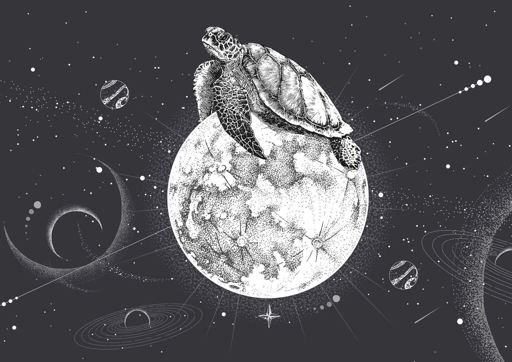 Turtle on the moon — full design
