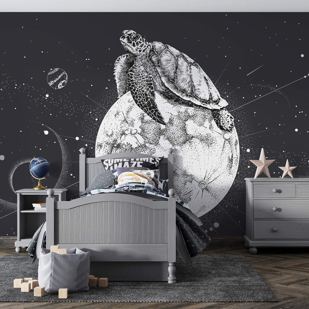 Turtle on the moon — interior 1