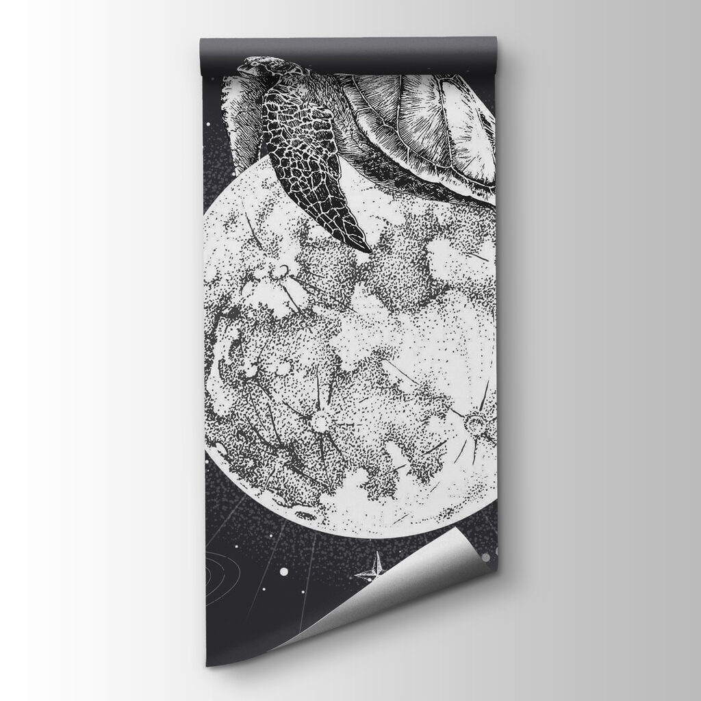 Turtle on the moon — product view