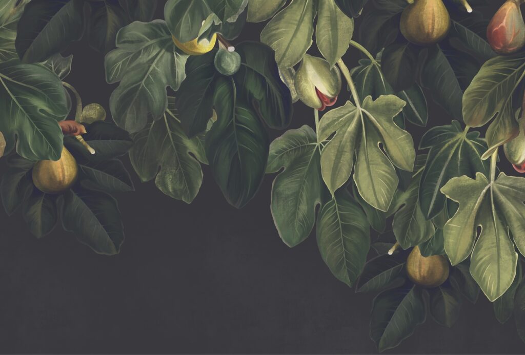 Figs among dark leaves — full design