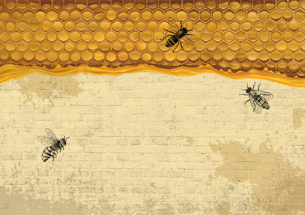 Bees beneath a honeycomb — full design