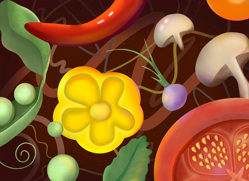 Vegetables from above — full design