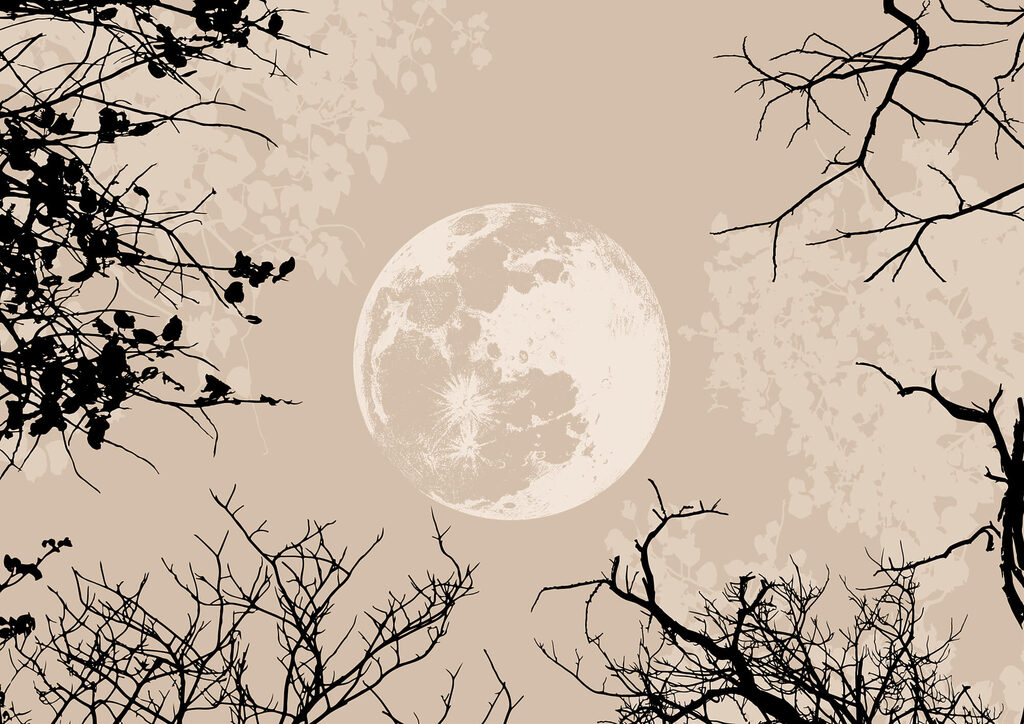 Moon between bare branches — full design