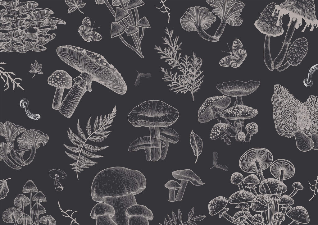 Mushrooms in fine lines — full design