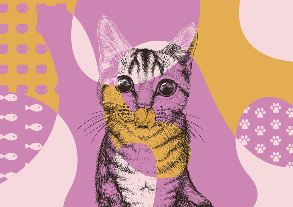 Cat in colourful shapes — full design