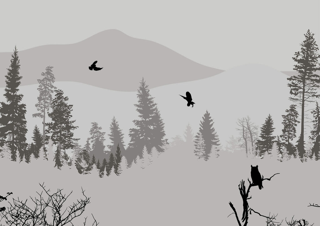 Misty pine forest — full design