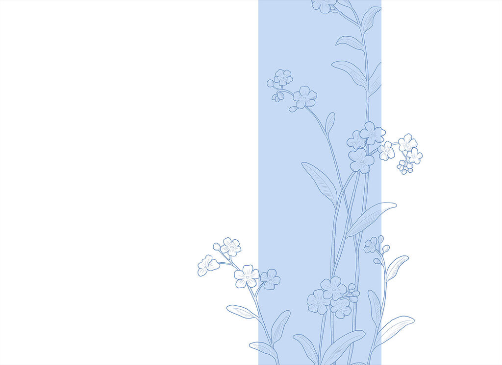 Fine flower outlines — full design