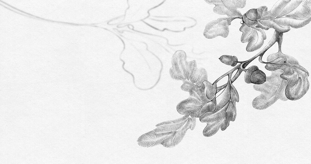 Oak branch in grey — full design