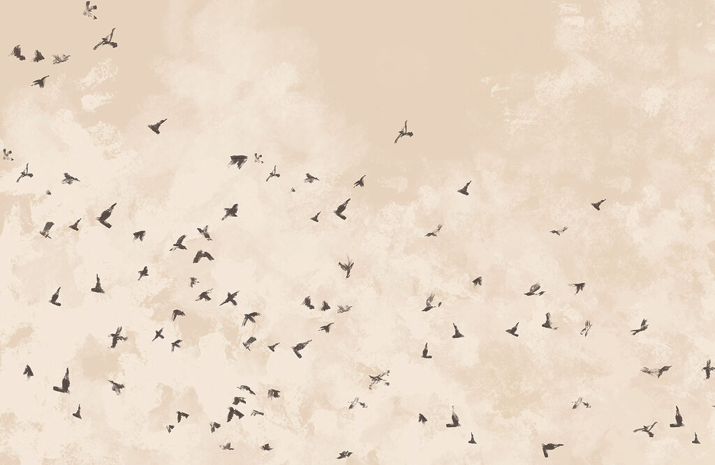 Flock of birds — full design