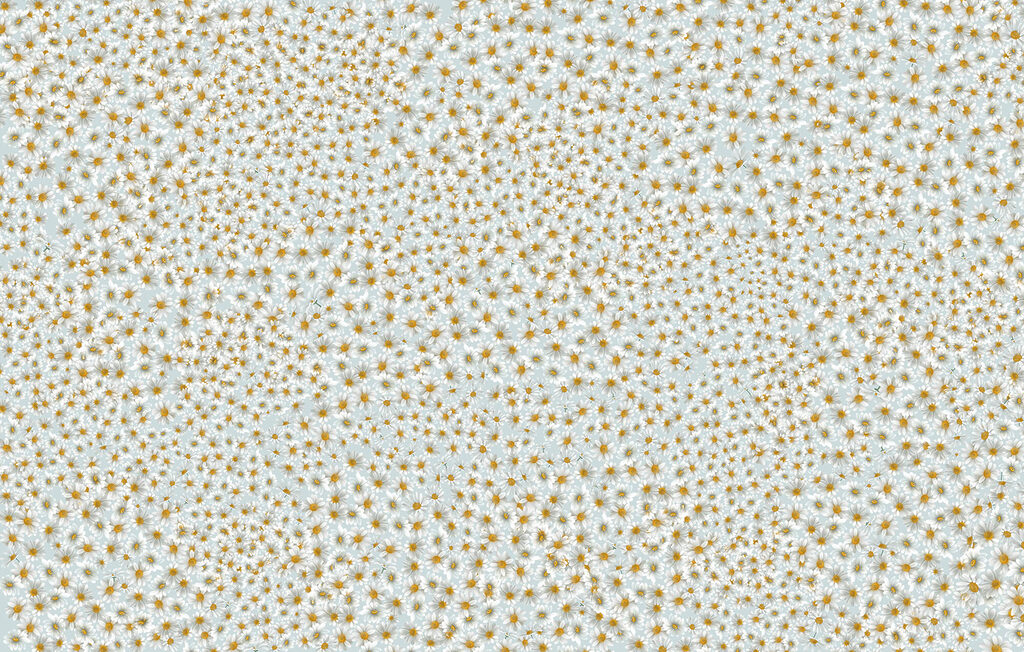 Tiny flowers like dots — full design