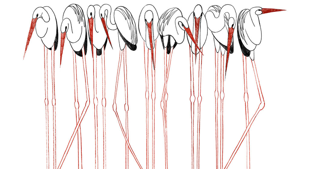 Wading Together — full design