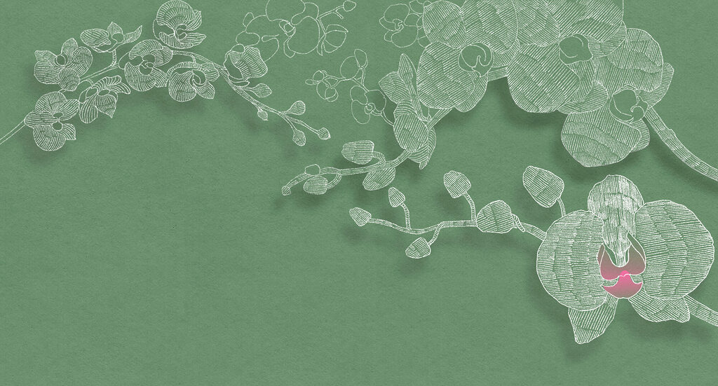 Orchid in green lines — full design