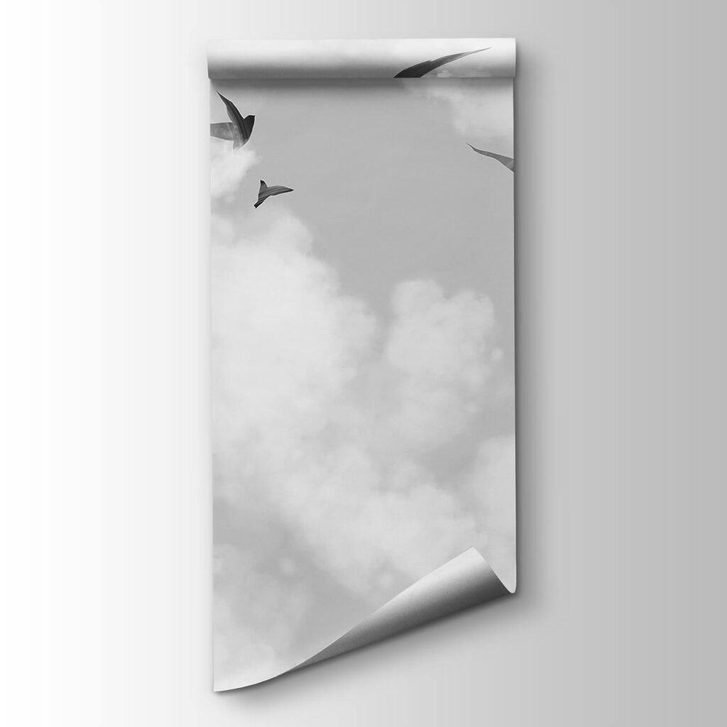 Birds among white clouds — product view