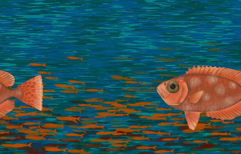 Fish among brushstrokes — full design