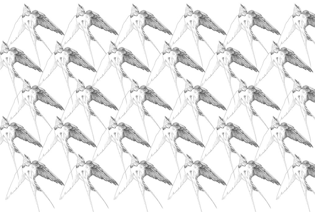 Birds in line drawing — full design