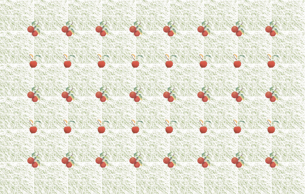 Cherries on fine grid — full design
