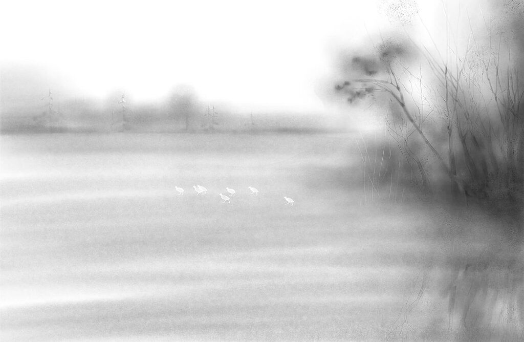 Reeds by fading water — full design