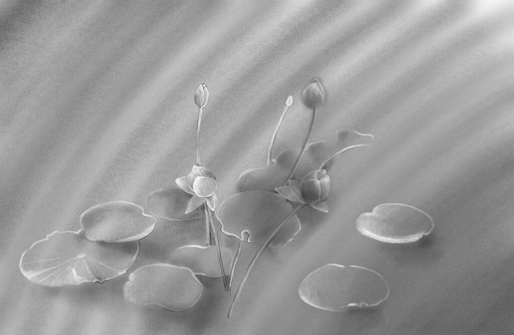 Lotus under slanted light — full design