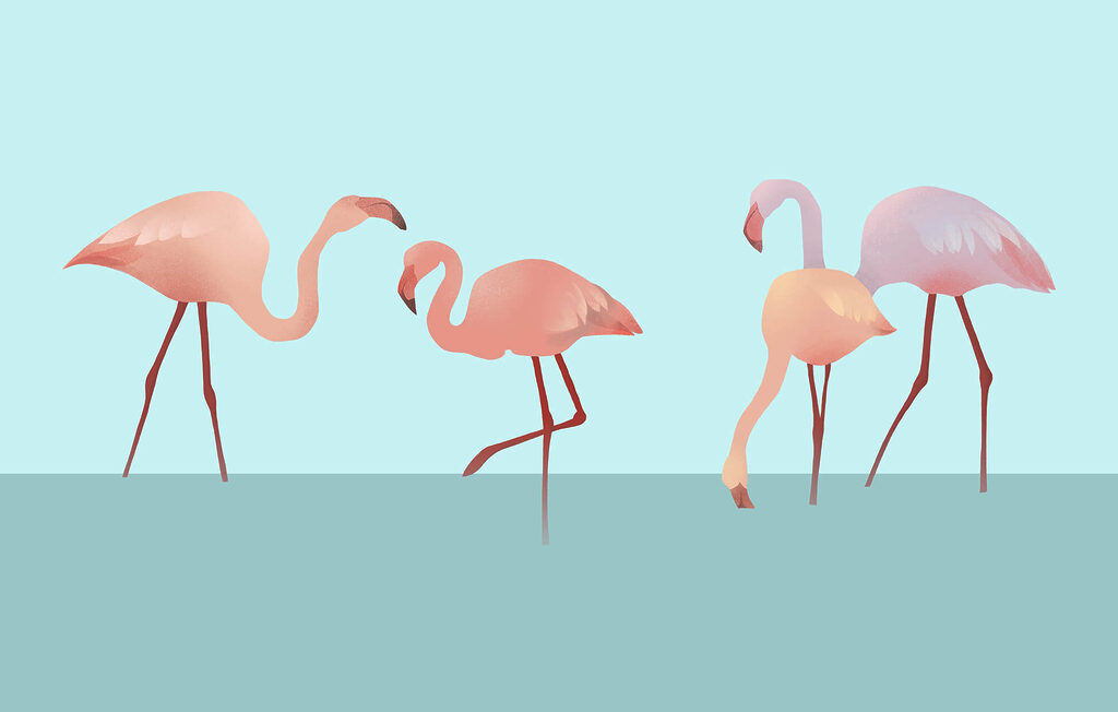 Flamingos on turquoise — full design