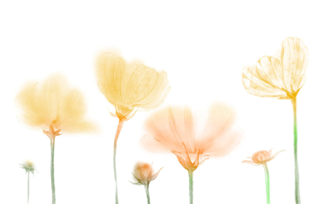 Yellow flowers, fine stems — full design