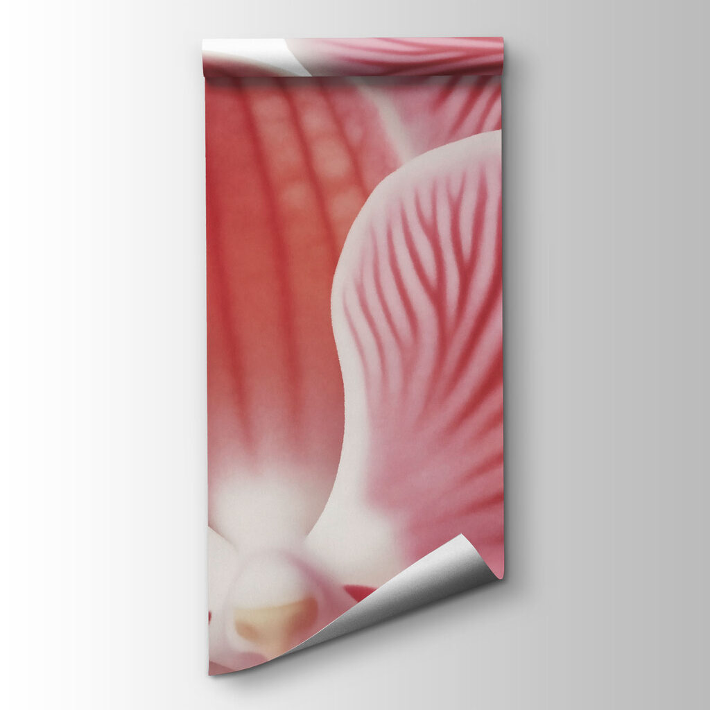 Pink orchid on white — product view