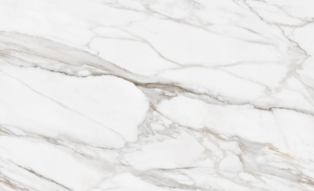 Branching stony lines — full design