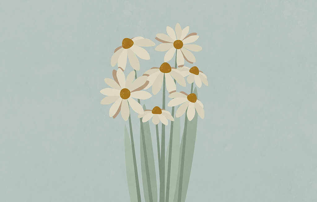 Daisies on long stems — full design