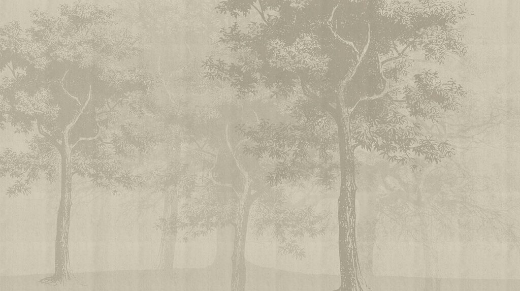 Woodland in soft mist — full design
