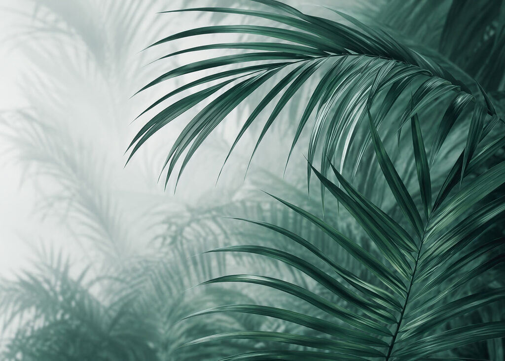 Palm fronds in mist — full design