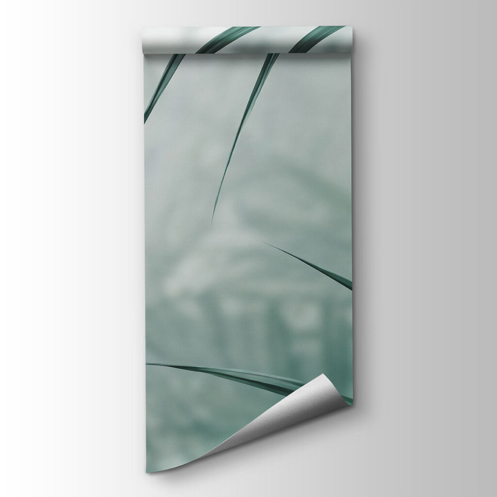 Palm fronds in mist — product view
