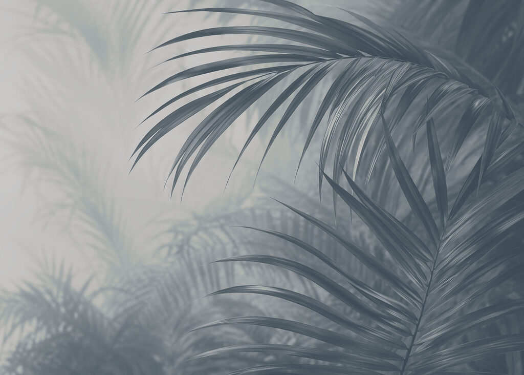 Palm Fronds in Shadow — full design
