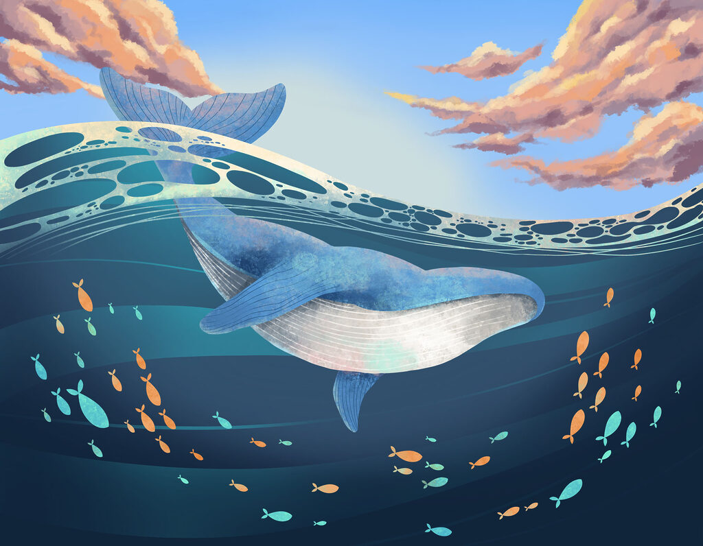 Into the Blue — full design