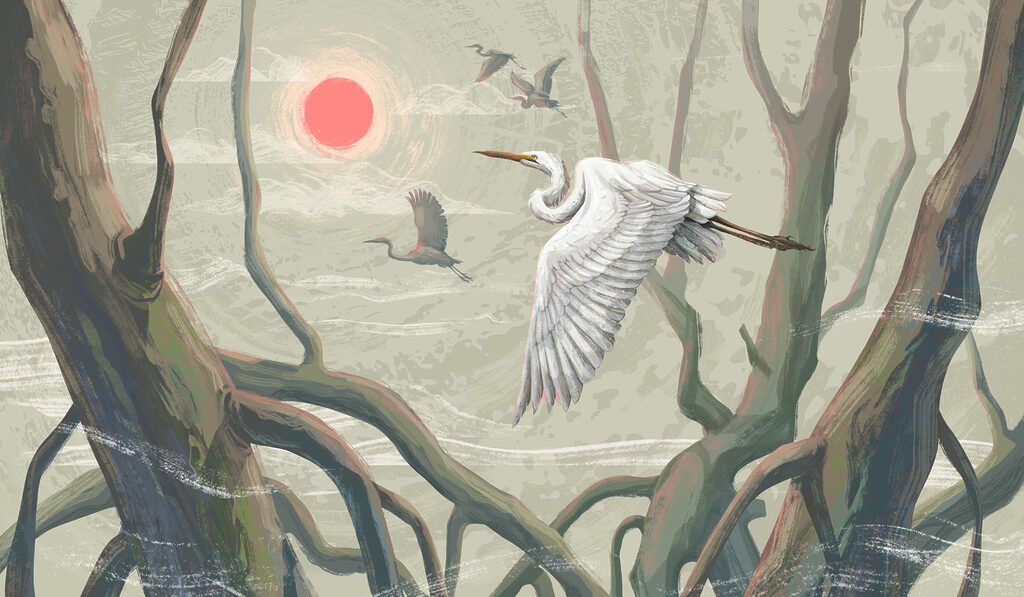 White Wings — full design