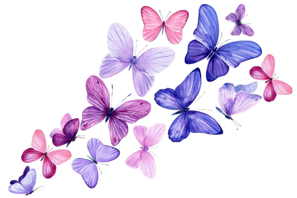 Butterfly Colour Drift — full design