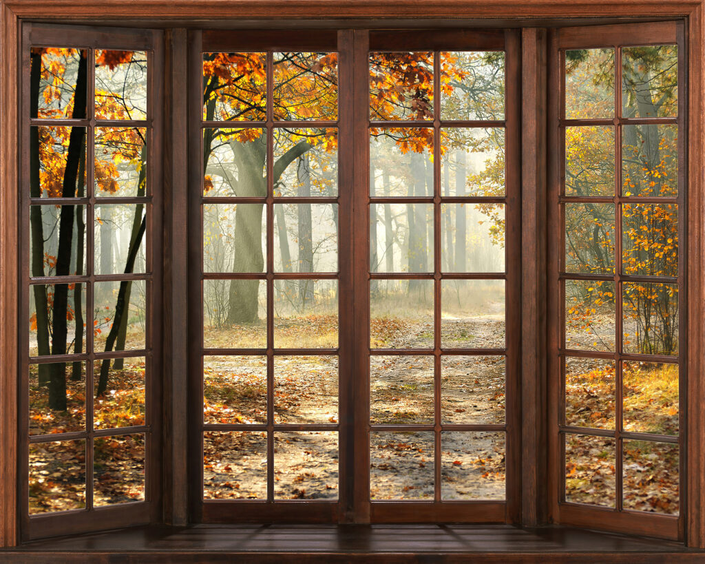 Autumn forest, wooden window — full design