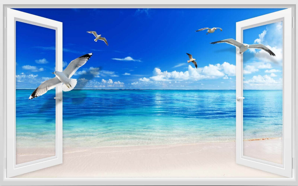 Seagulls through a window — full design