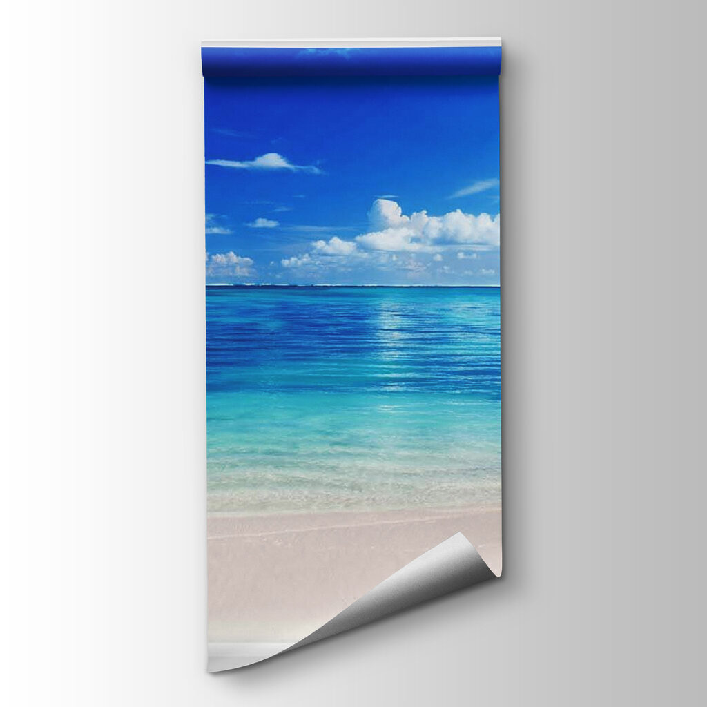 Seagulls through a window — product view