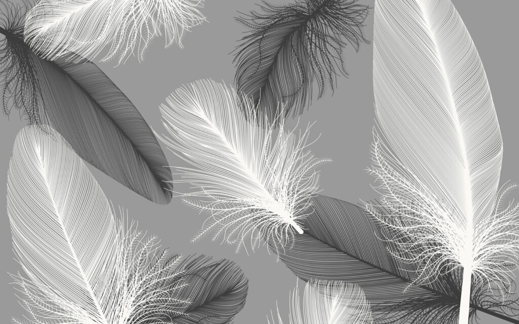 Feathers drifting through grey — full design