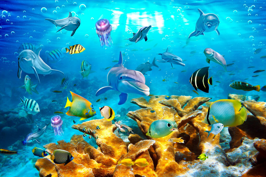 Coral Reef Life — full design