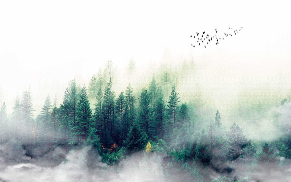 Small pines in mist — full design