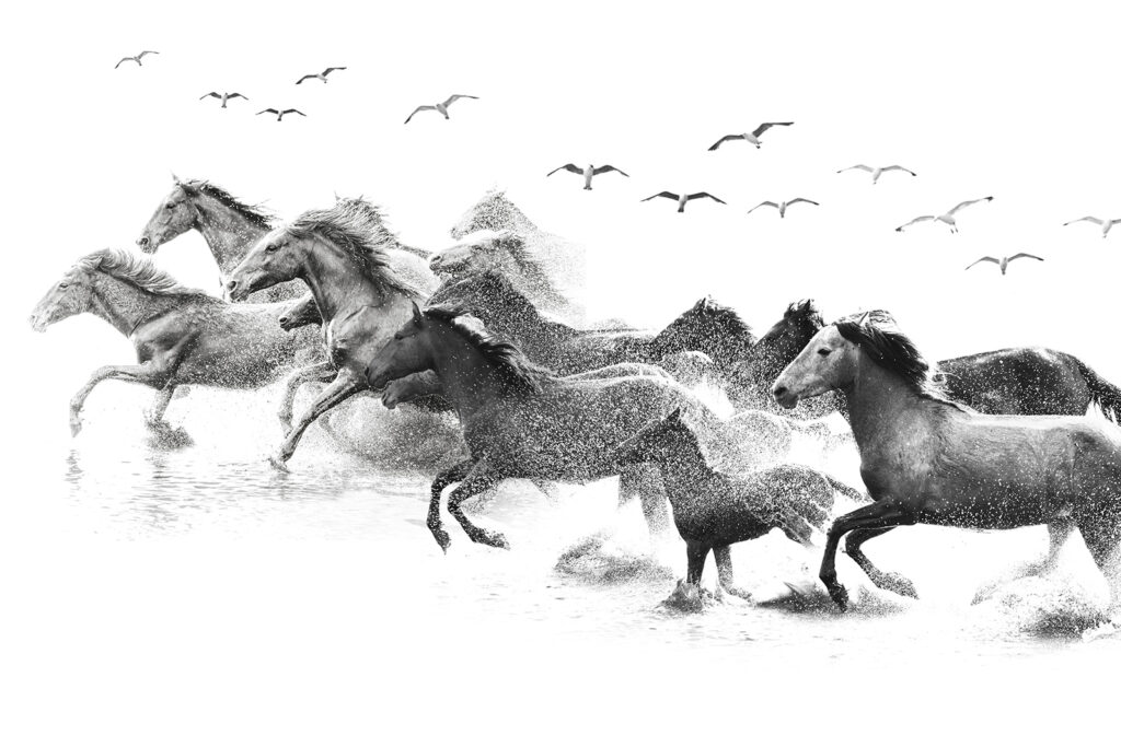 Horses in charcoal strokes — full design