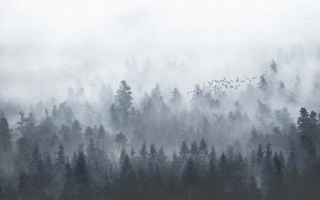 Flock above misty forest — full design