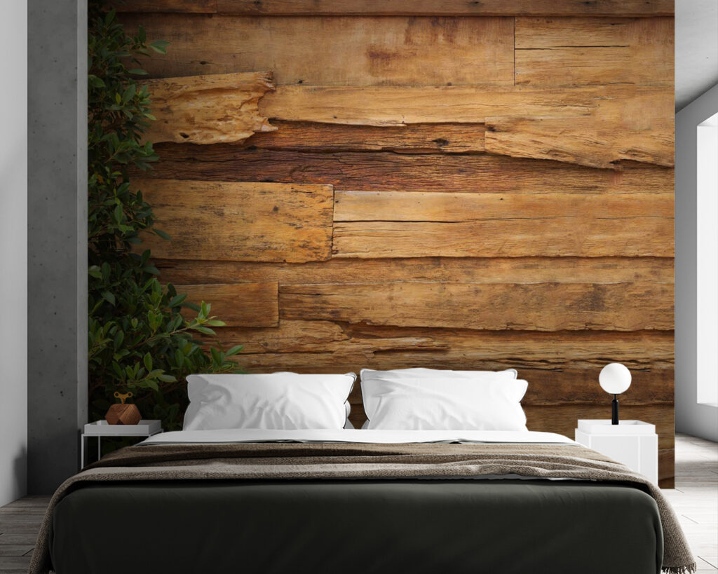 Ivy frames old planks — interior 2