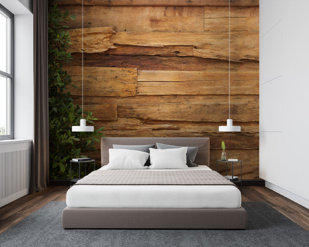 Ivy frames old planks — interior 1