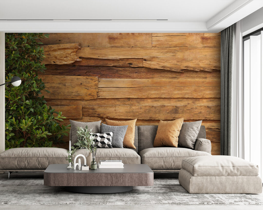 Ivy frames old planks — interior 3