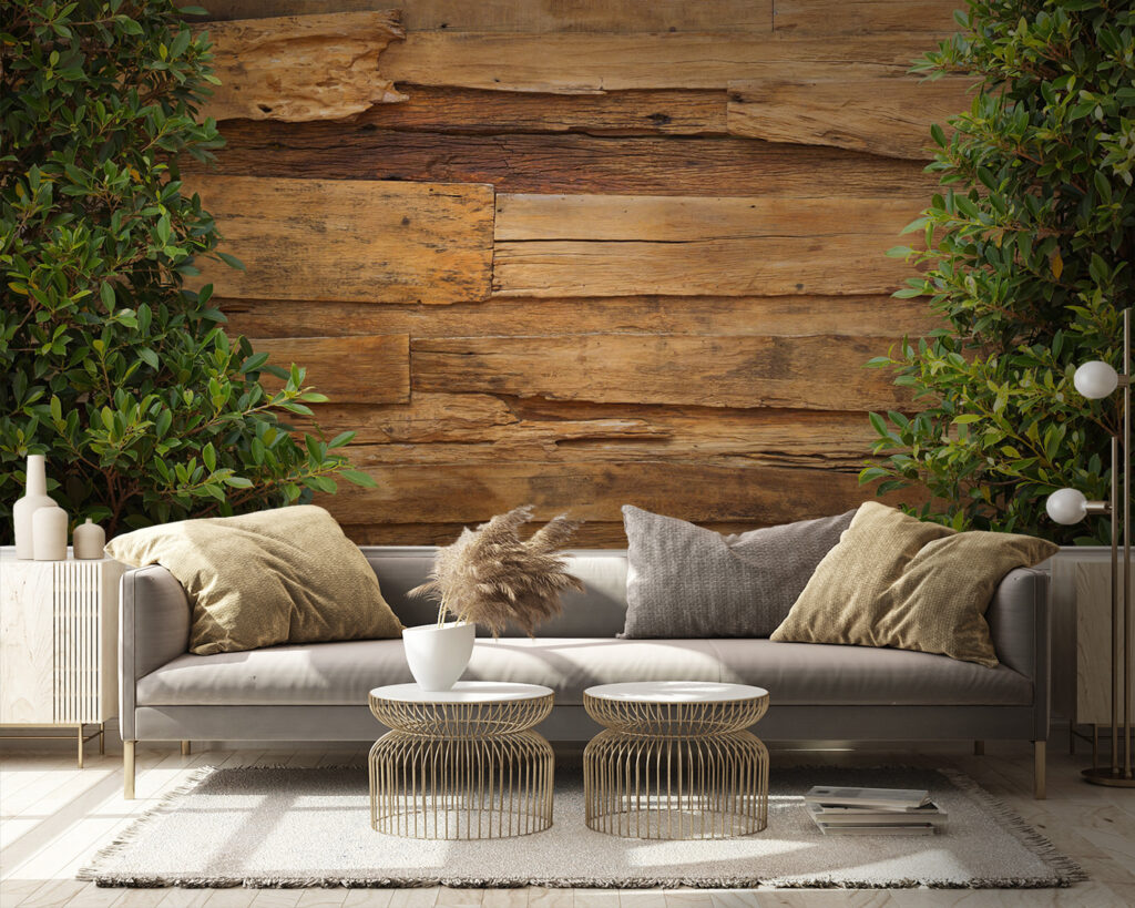 Ivy frames old planks — interior 4