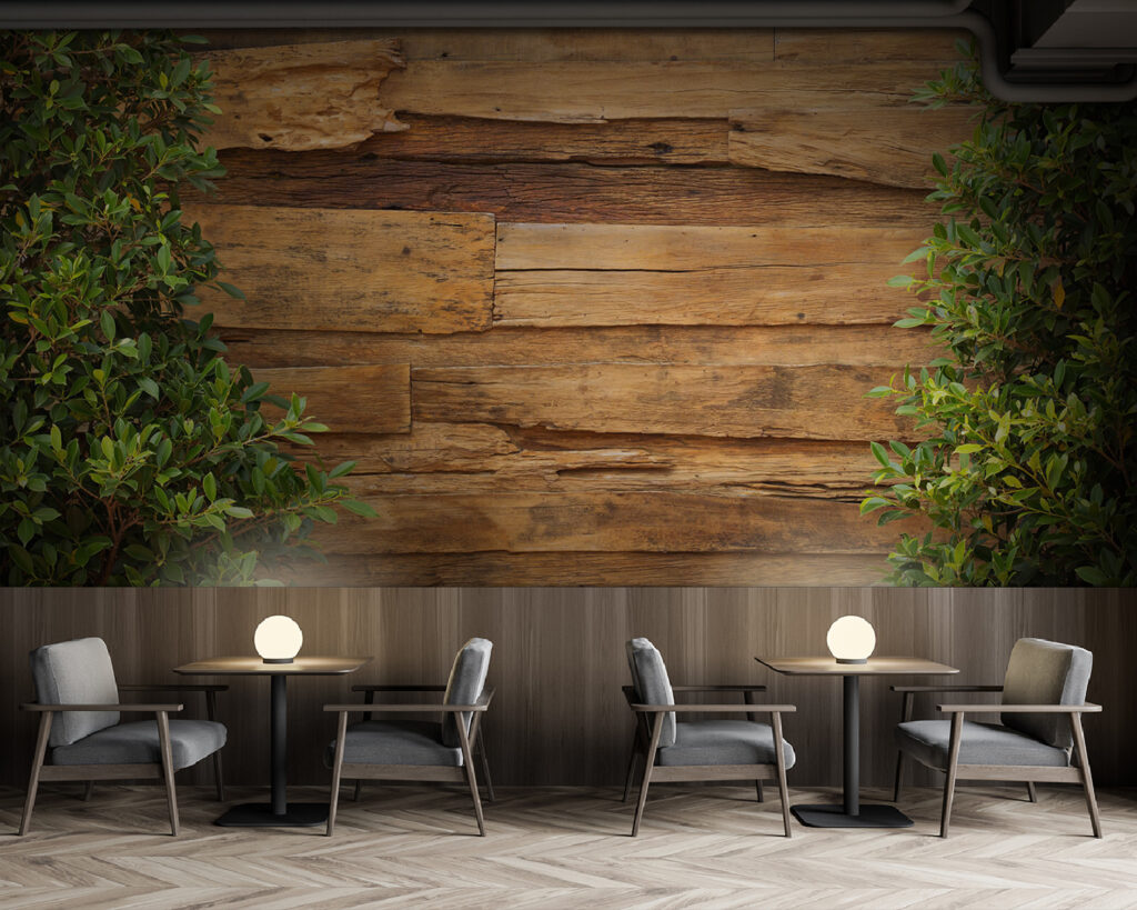 Ivy frames old planks — interior 5