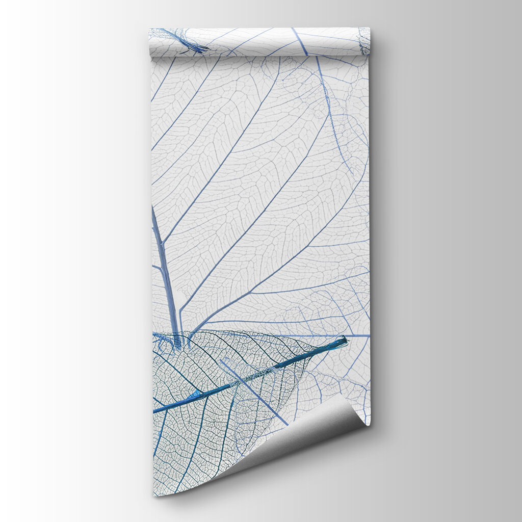 Leaf Skeletons — product view